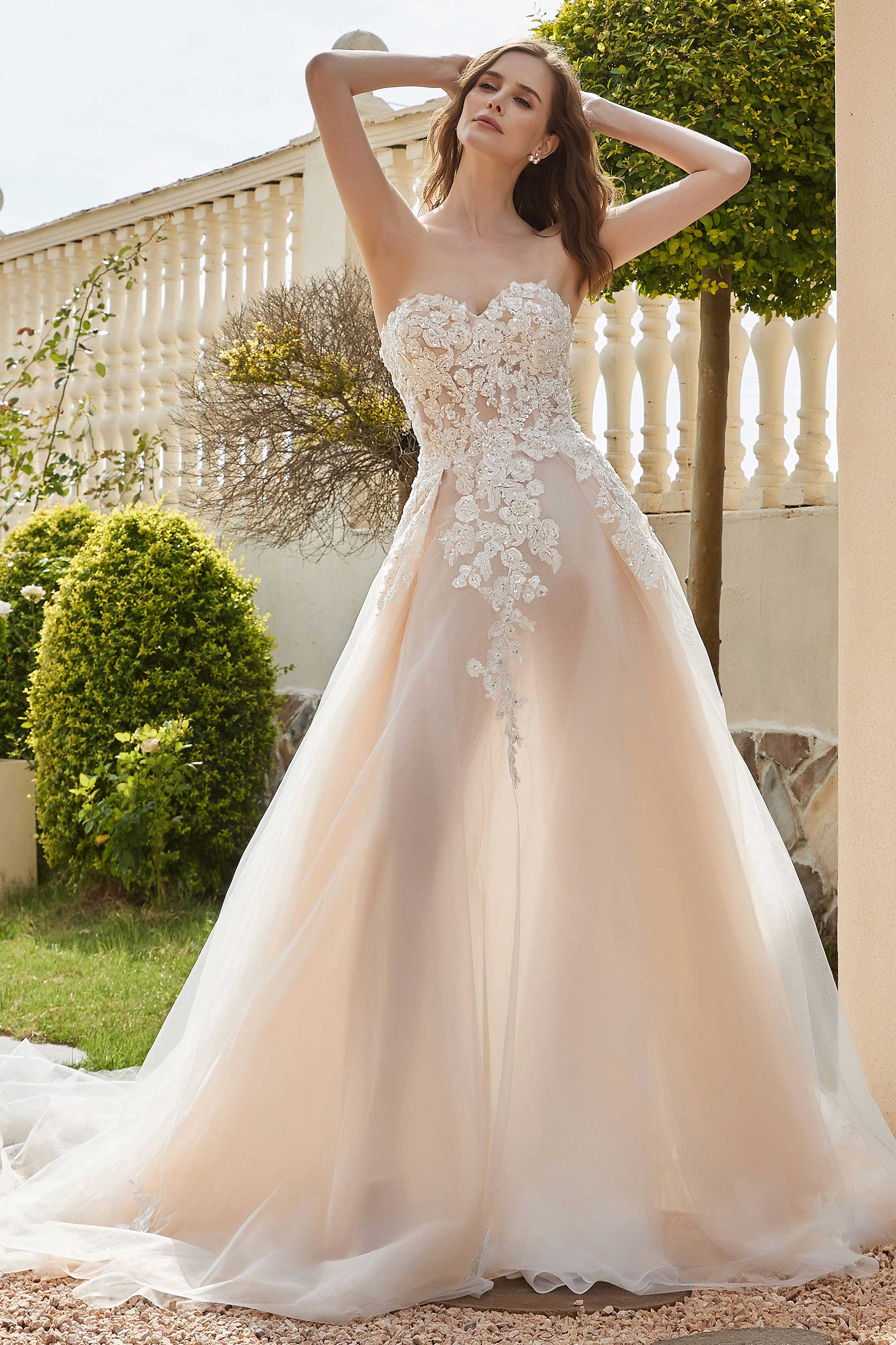 [Ivory]