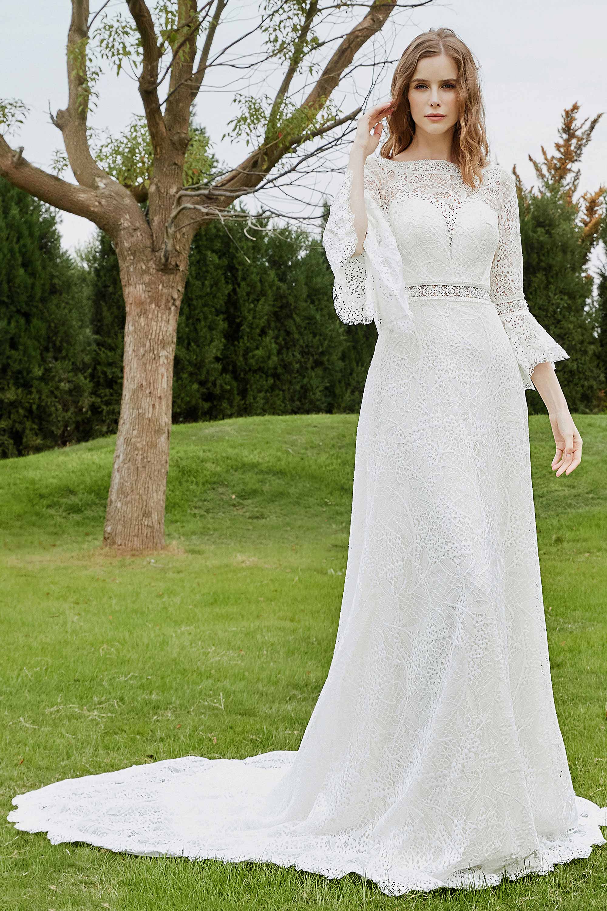 [Ivory]