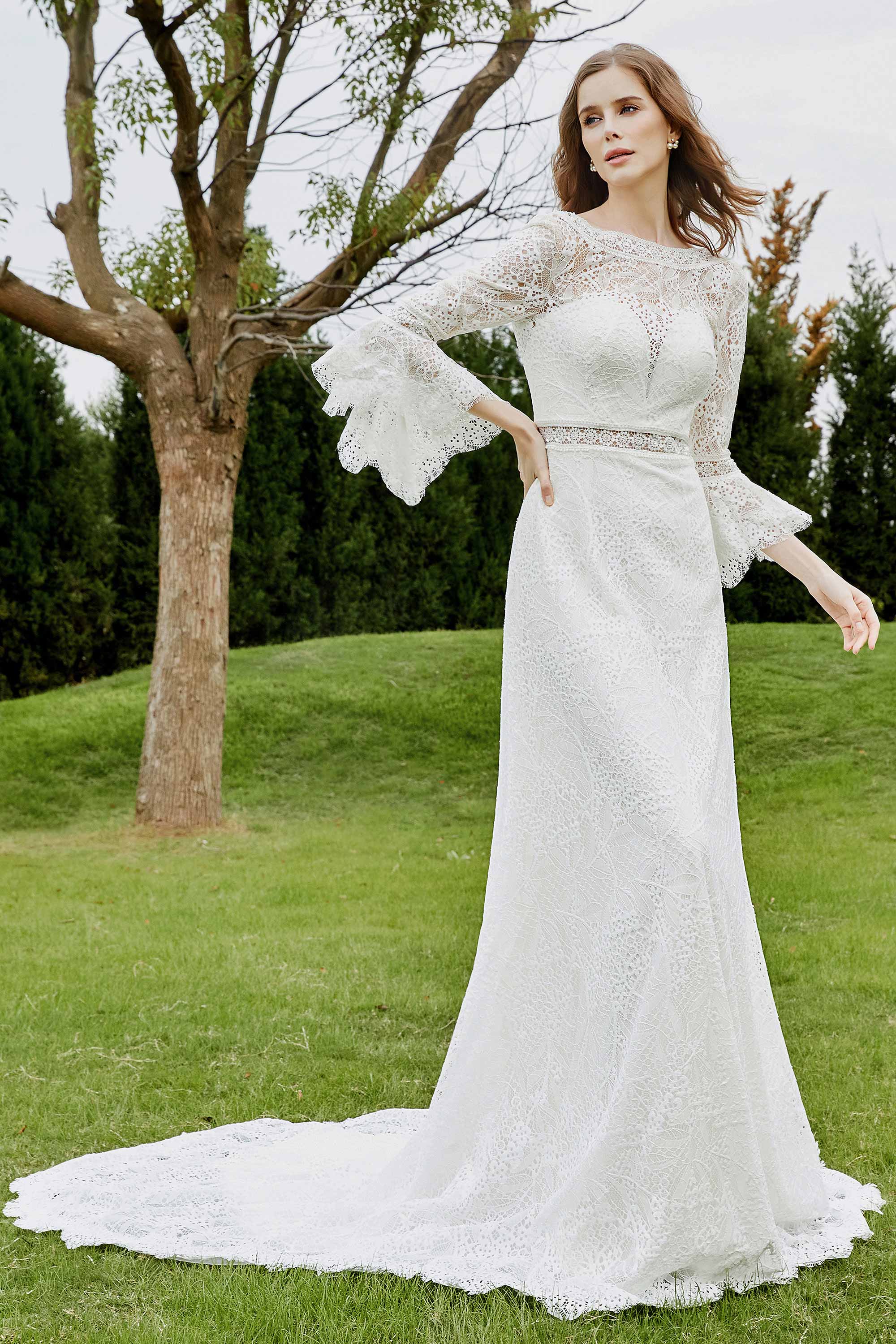 [Ivory]