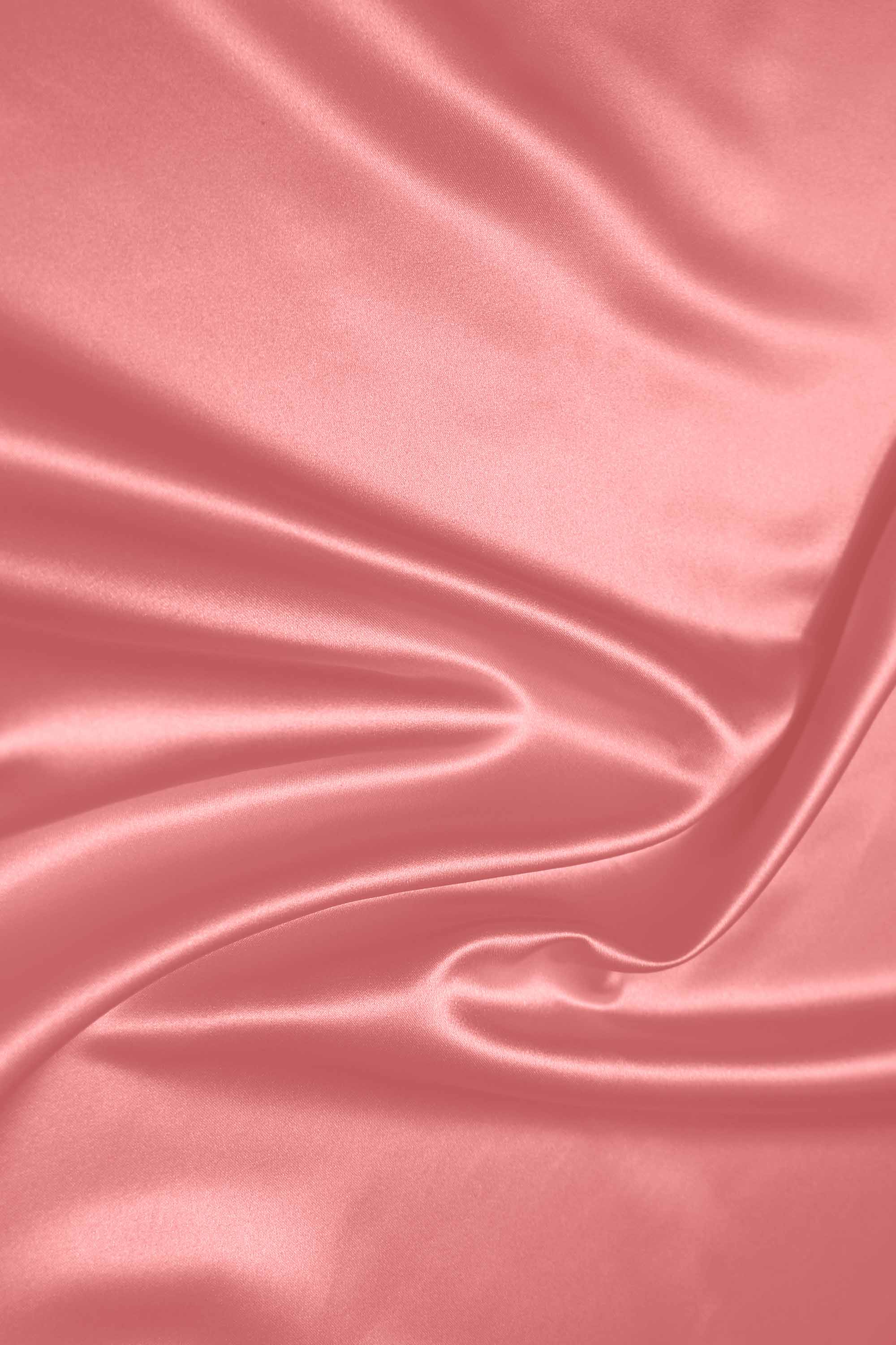 [Flamingo]