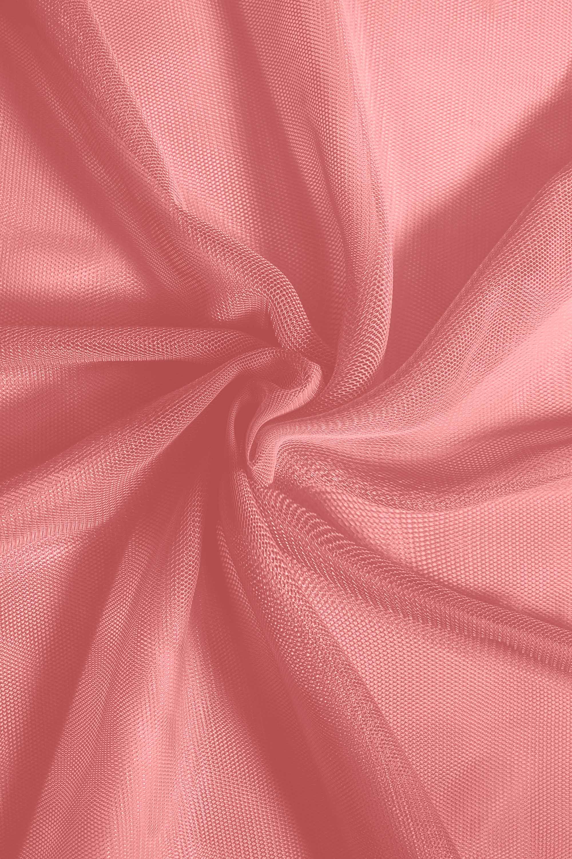 [Flamingo]