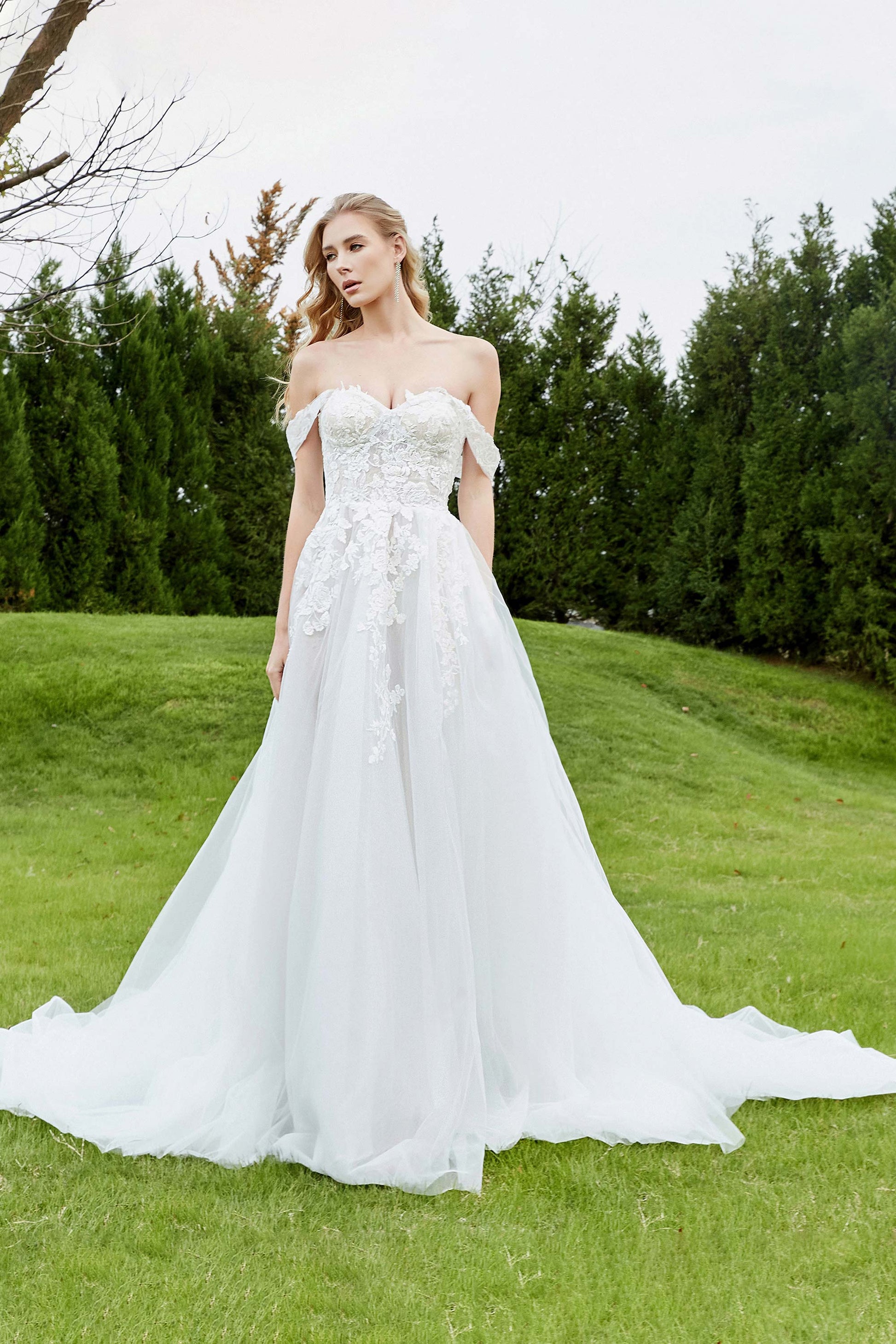 Duntery Off Shoulder Applique Tulle Wedding Dress, White Duntery Off Shoulder Applique Tulle Wedding Dress, White