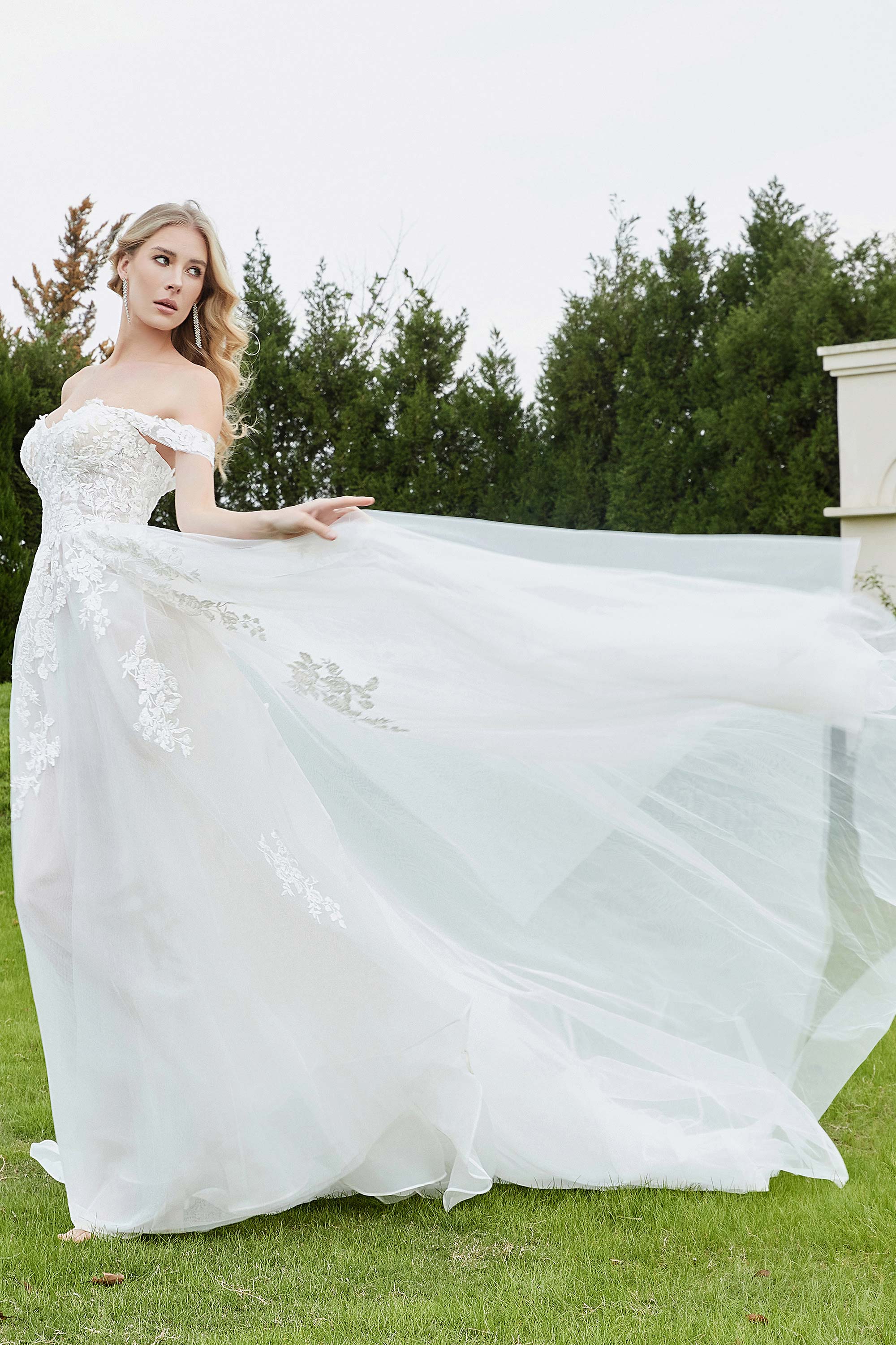 [Ivory]