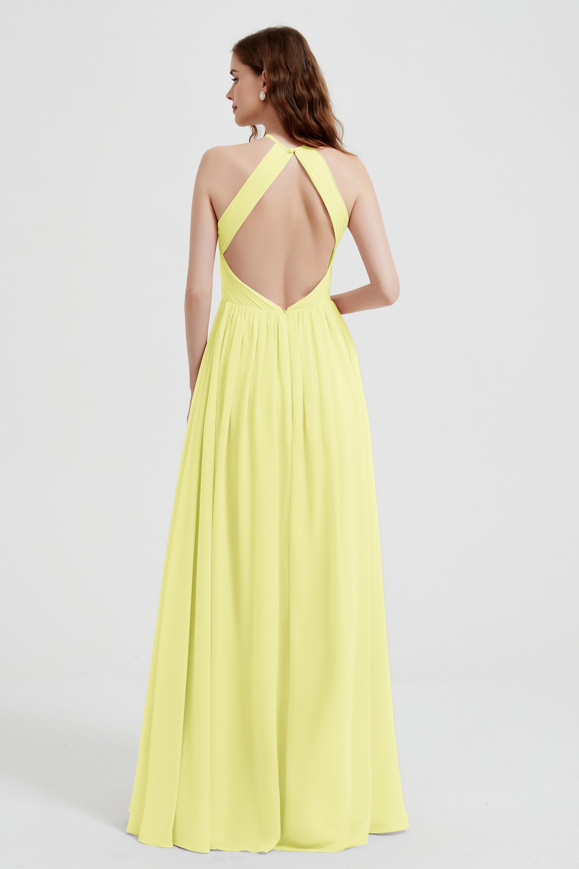 [Daffodil]