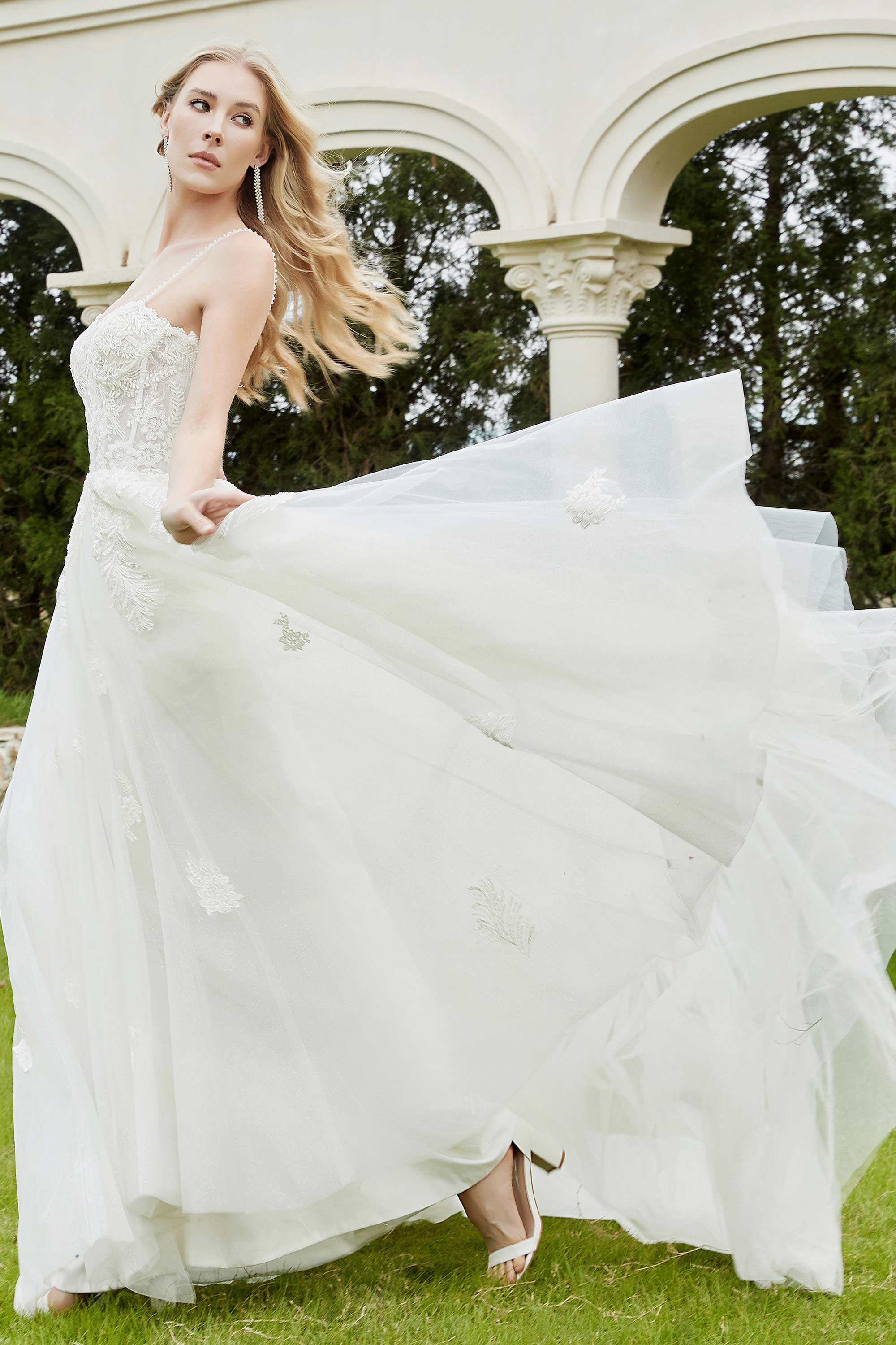 [Ivory]