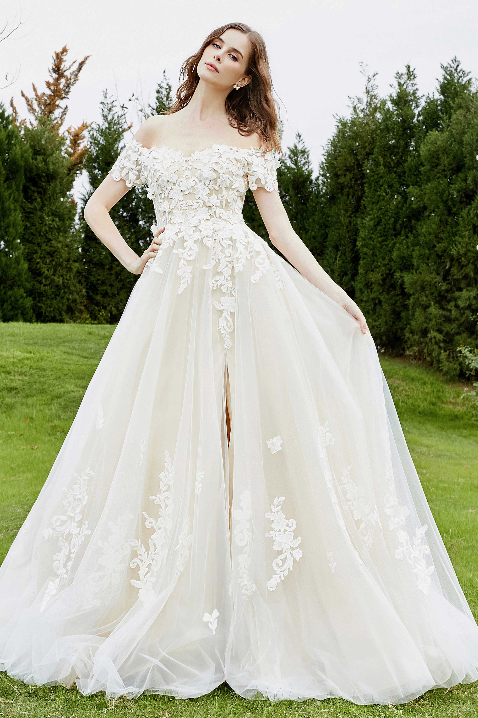 [Ivory]