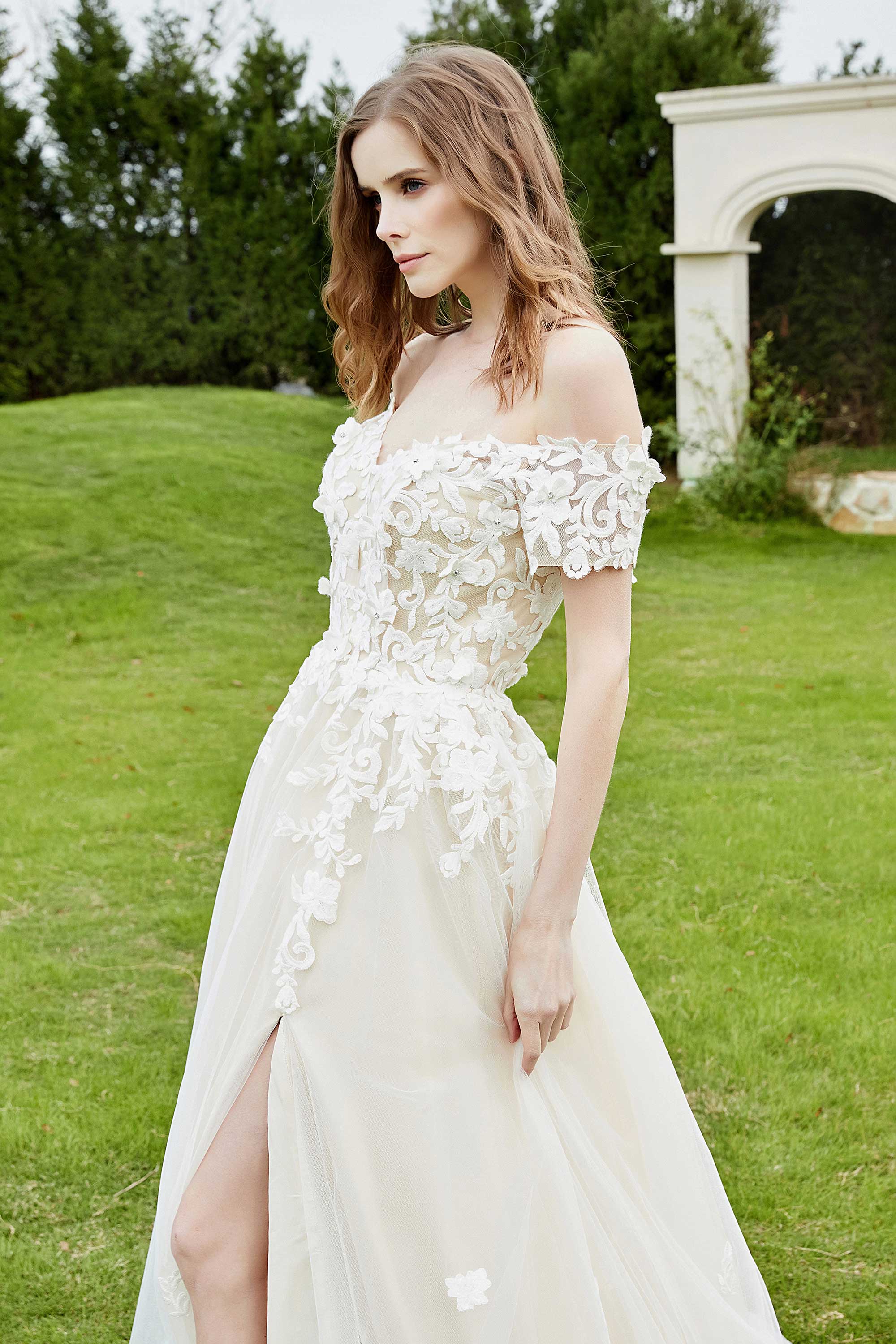 [Ivory]