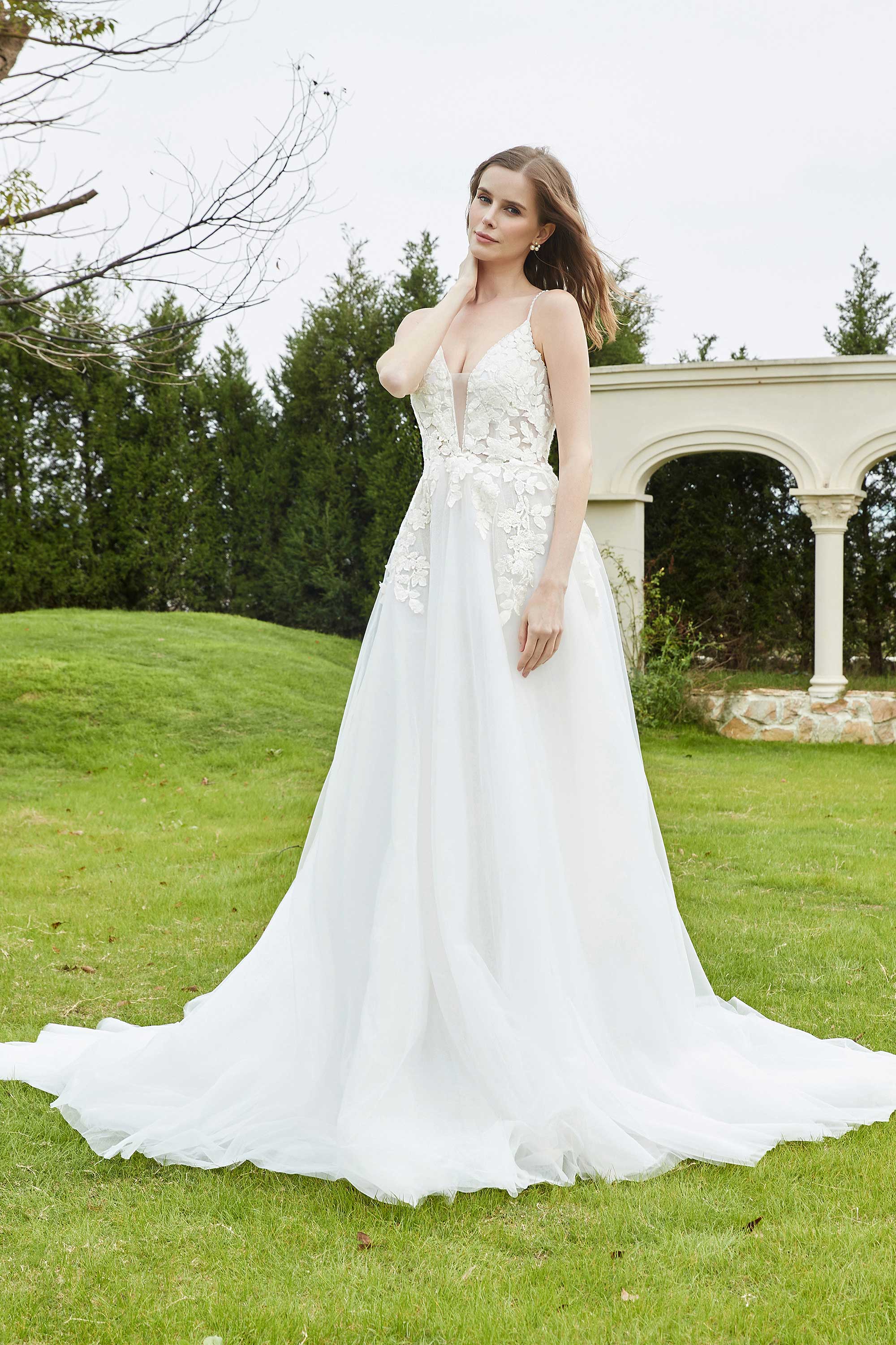[Ivory]