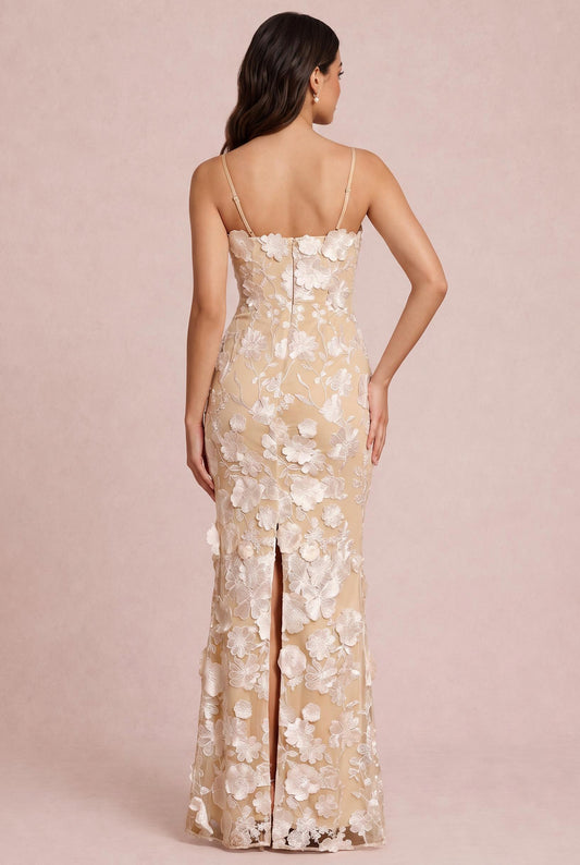 [Ivory]