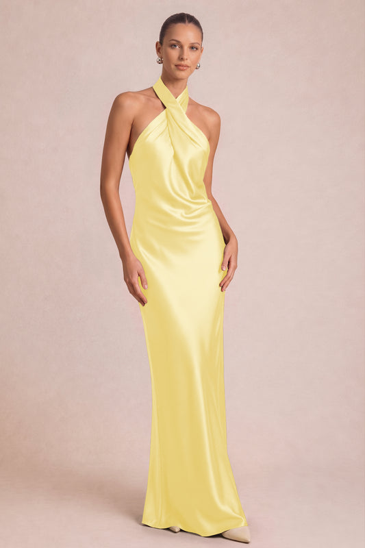[Daffodil]