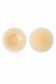 [Champagne]