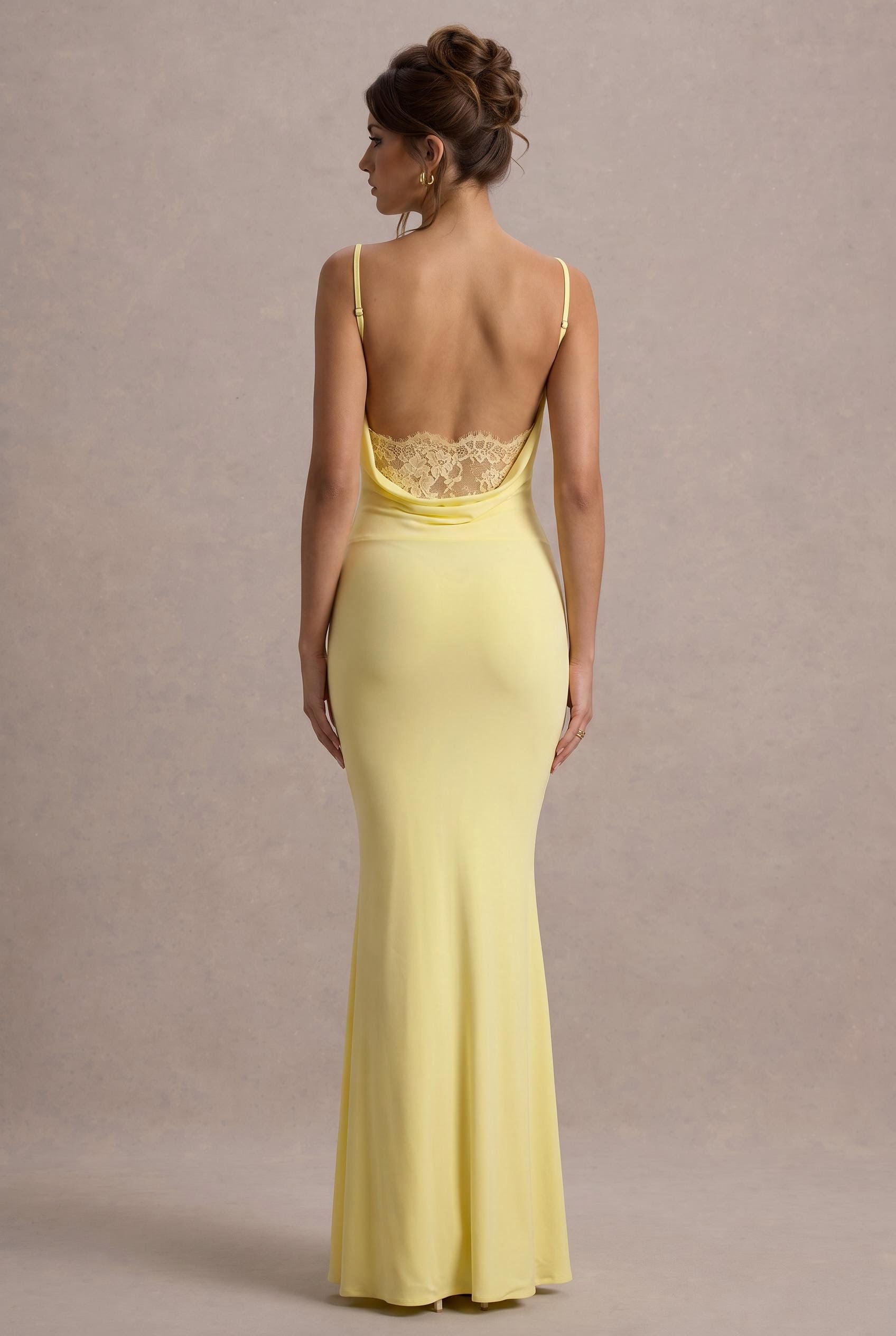 [Daffodil]