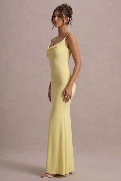 [Daffodil]