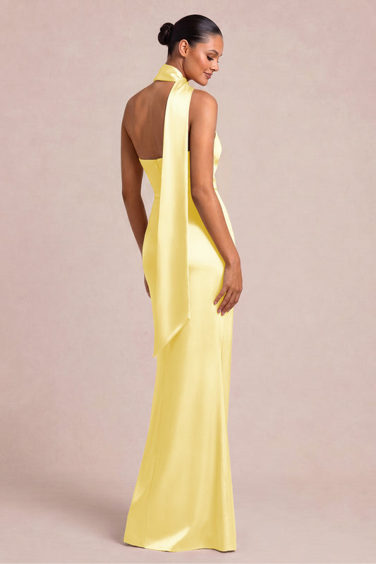 [Daffodil]