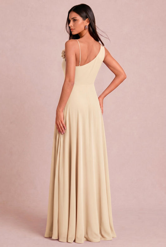 [Neutral Champagne]