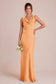 [Apricot]