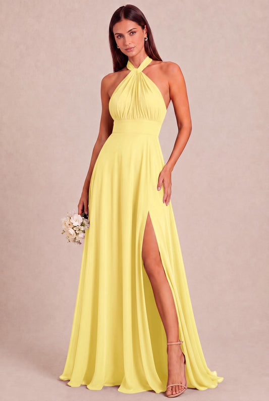 [Daffodil]