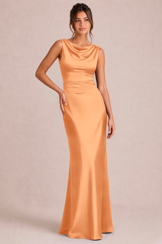 [Apricot]