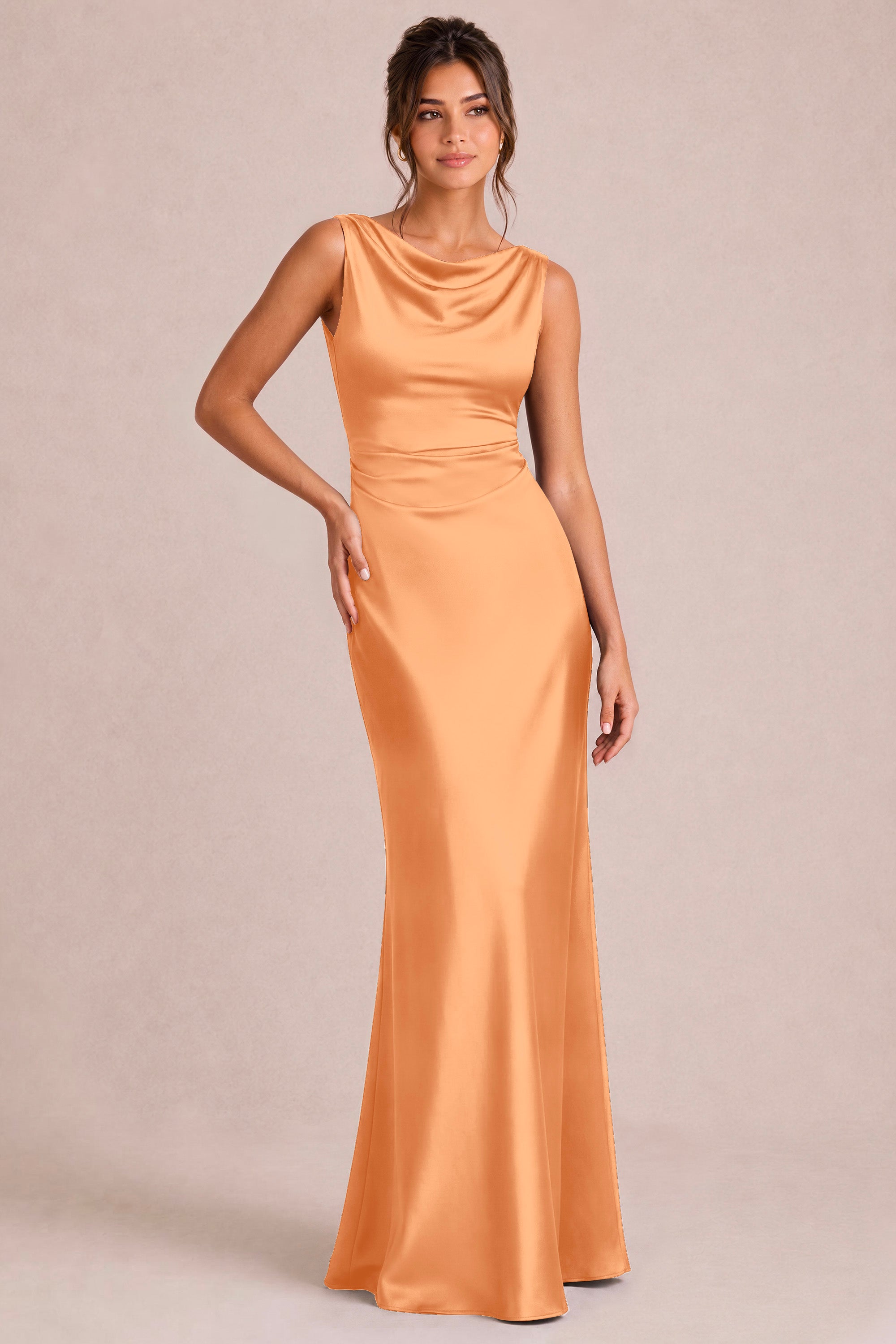 [Apricot]