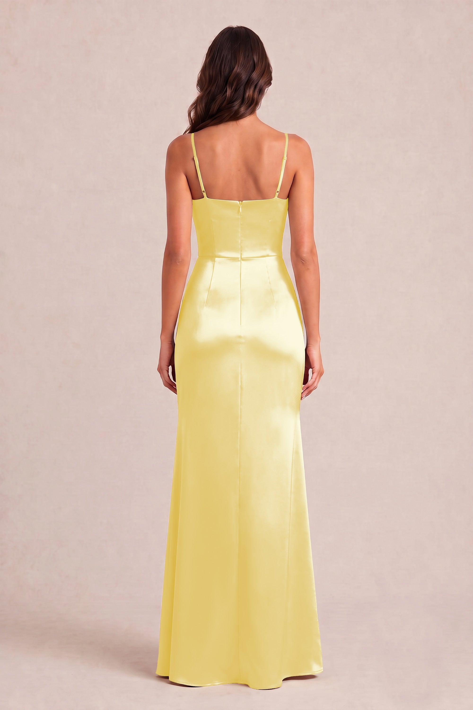 [Daffodil]
