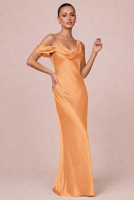 [Apricot]
