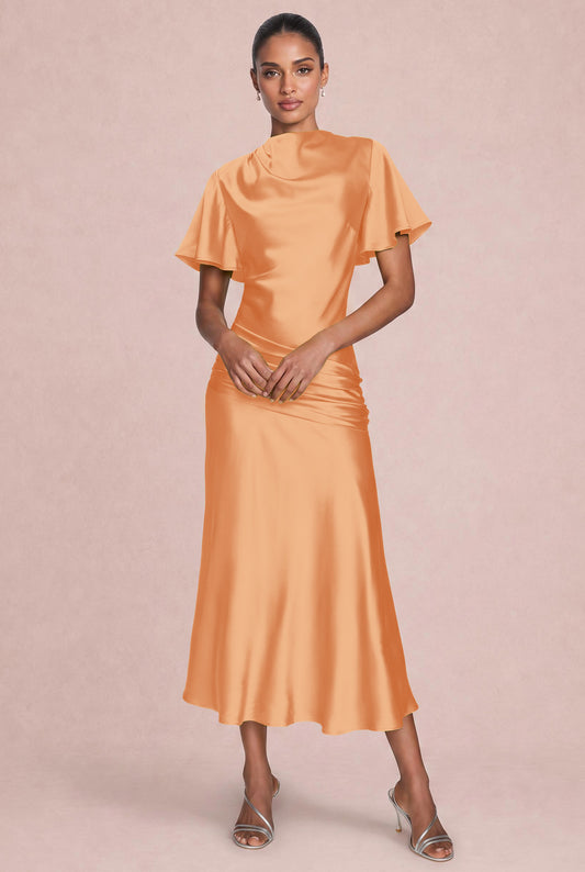 [Apricot]