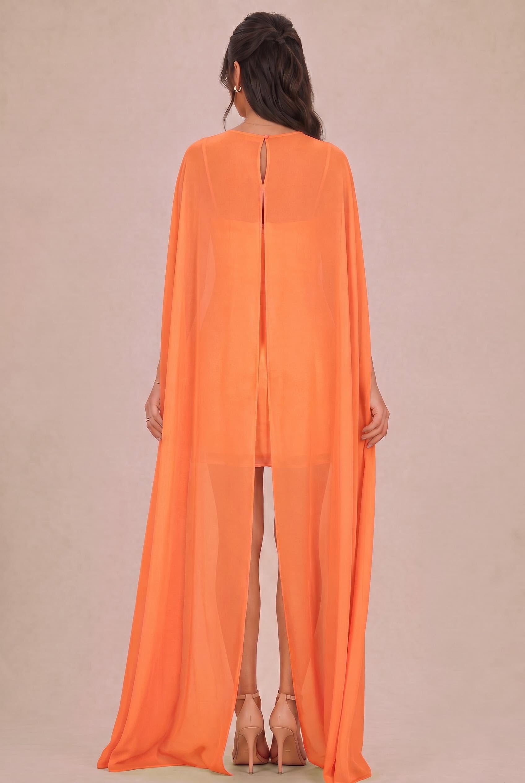 [Apricot]