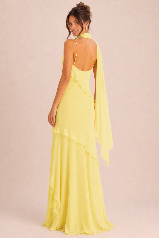[Daffodil]
