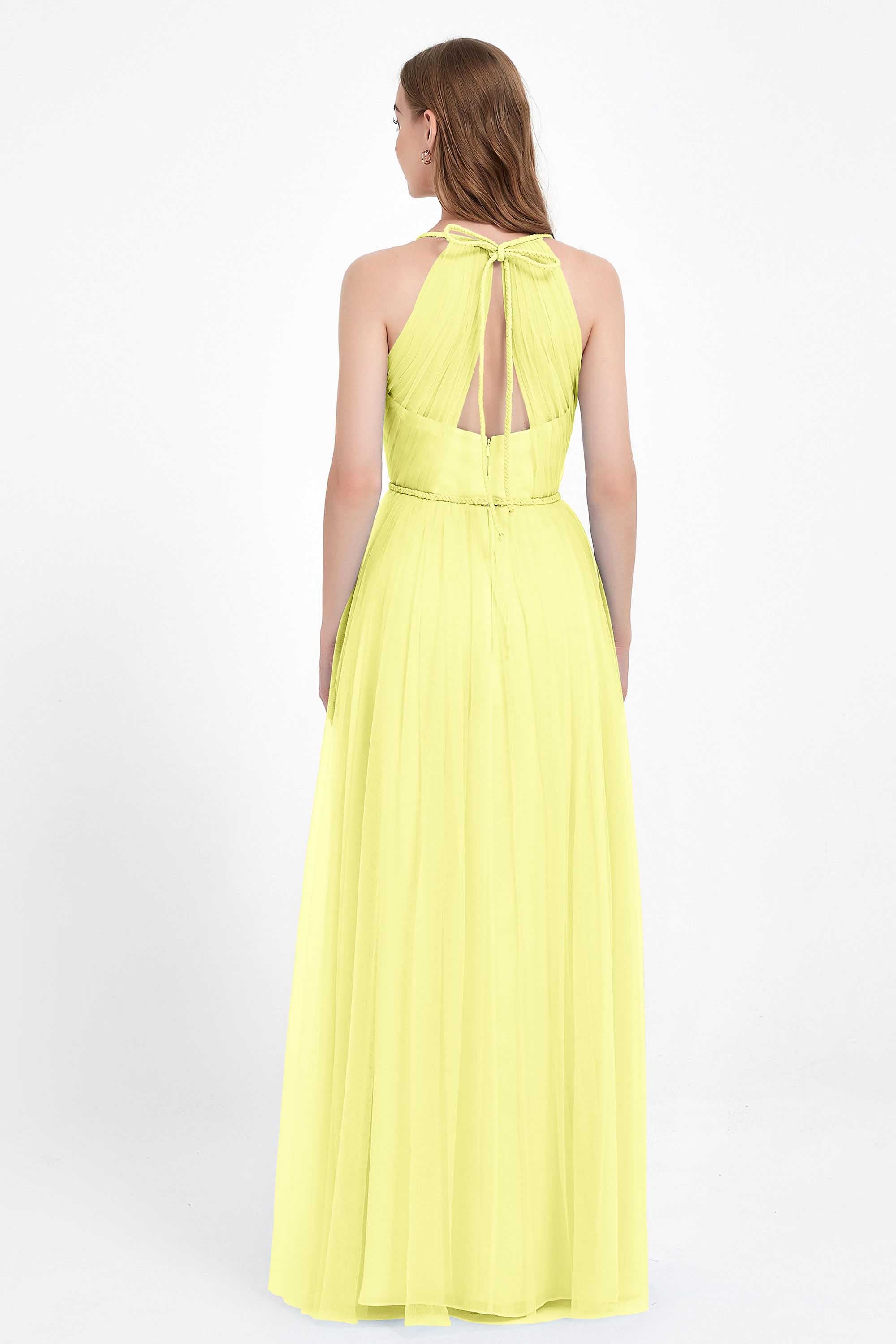 [Daffodil]