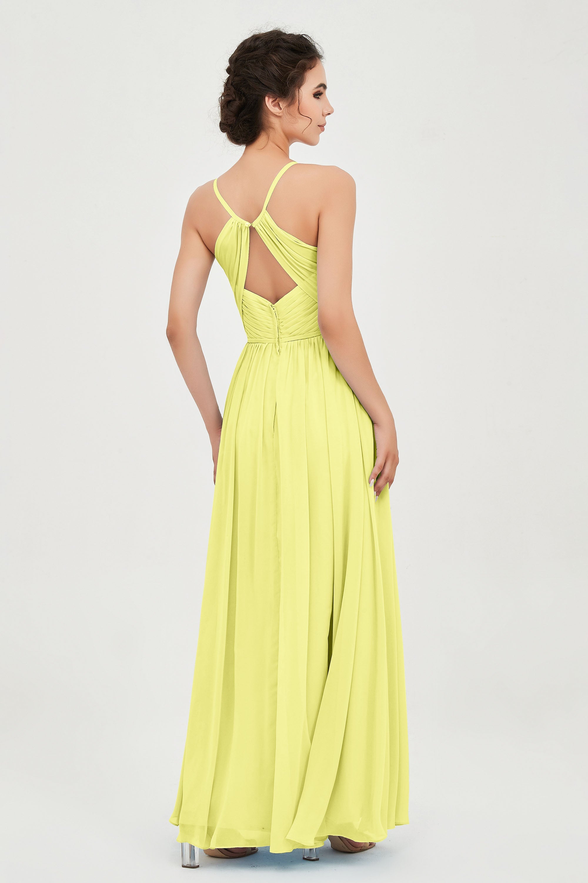 [Daffodil]
