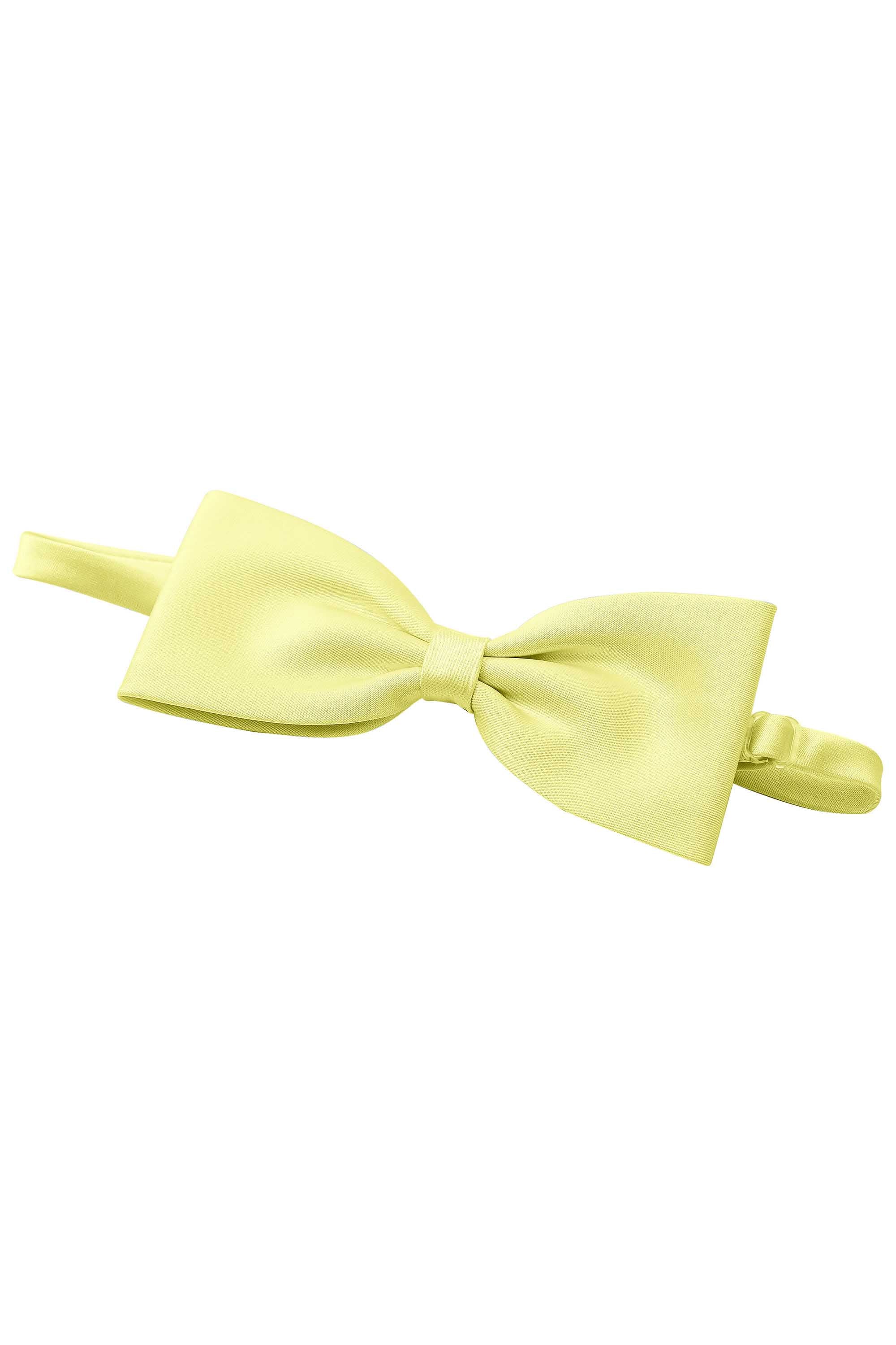 [Daffodil]