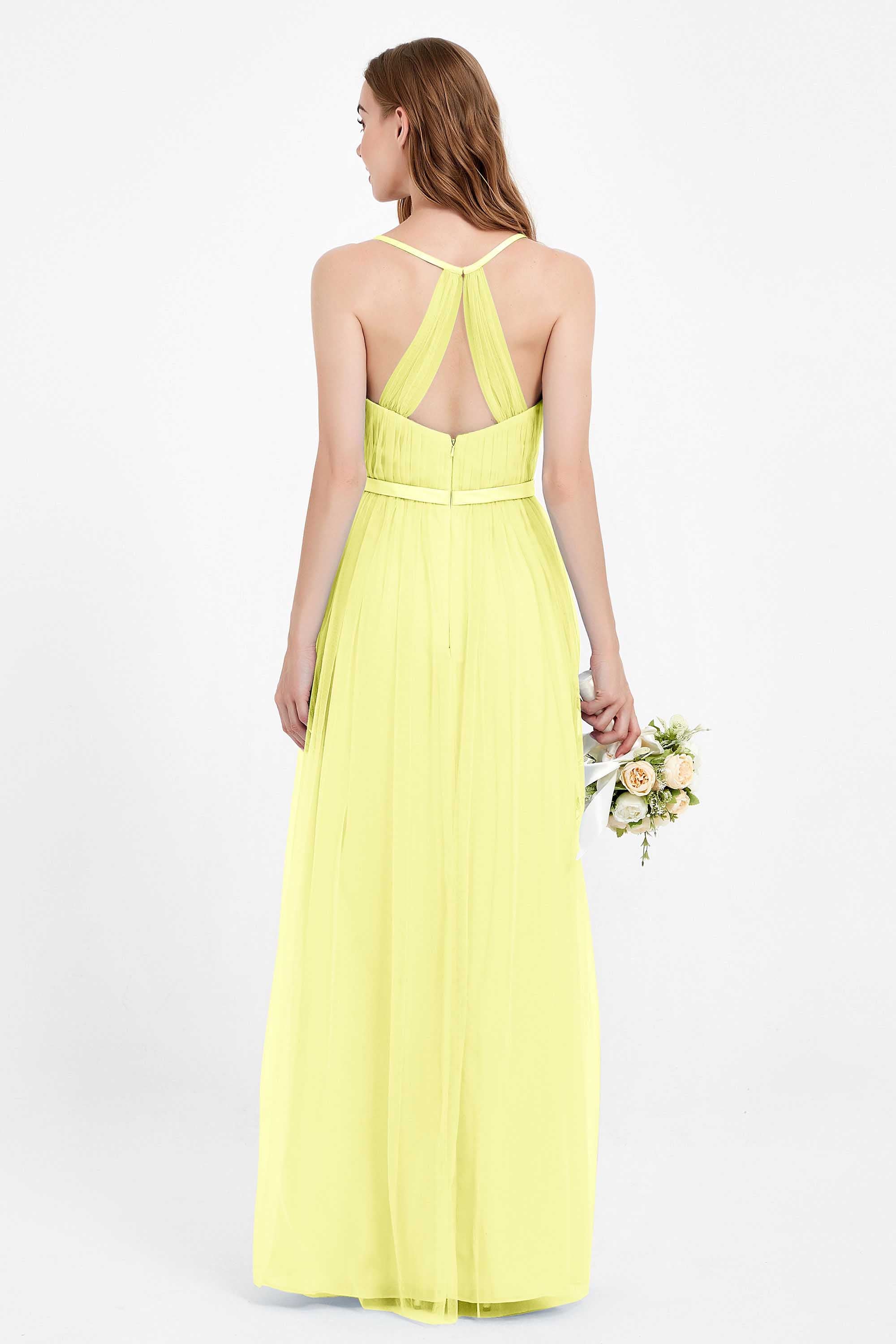 [Daffodil]