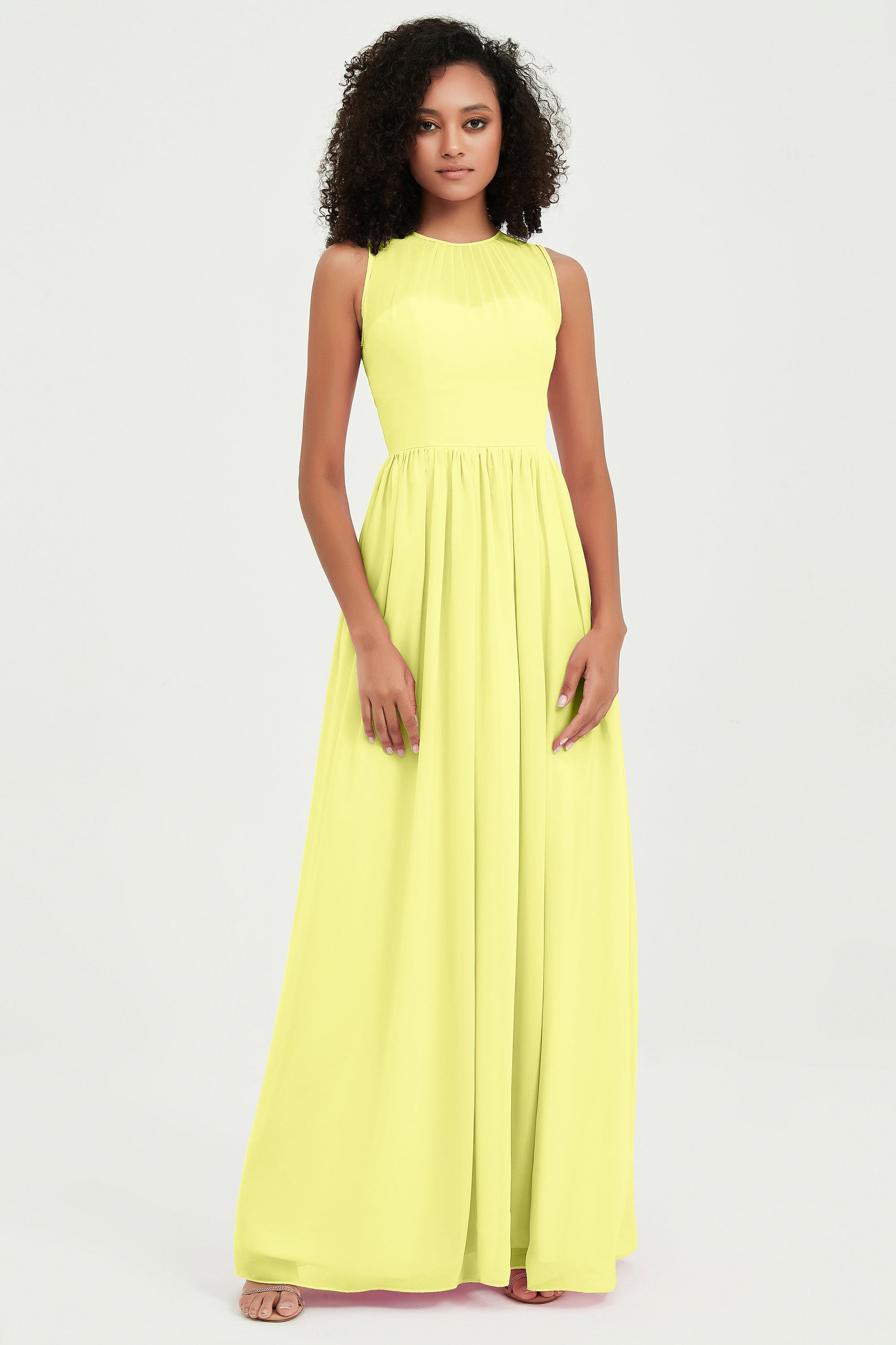 [Daffodil]