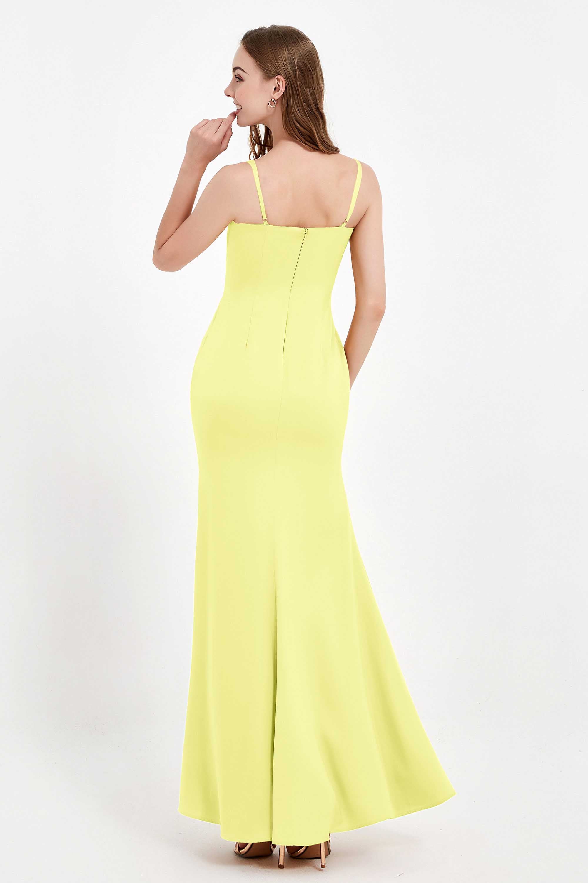 [Daffodil]