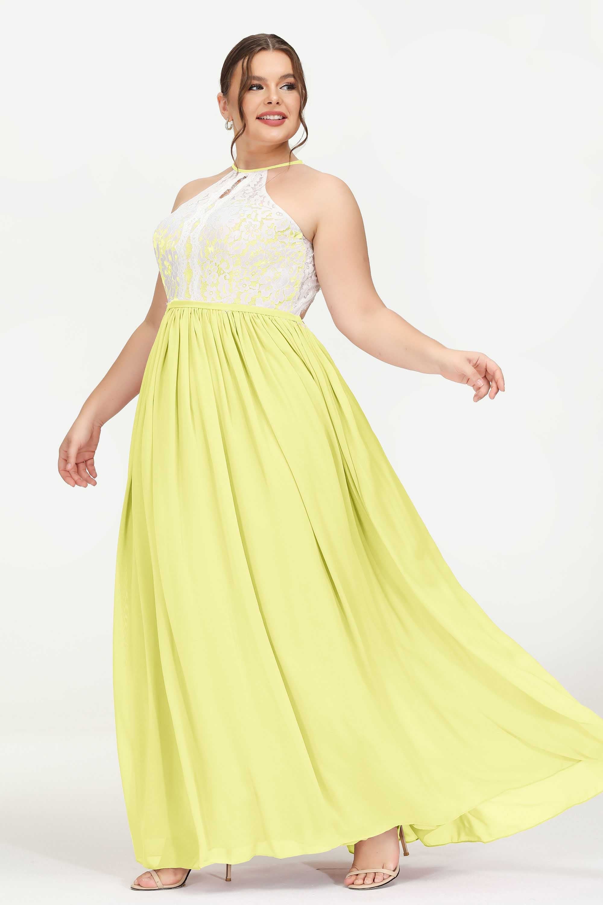 [Daffodil]