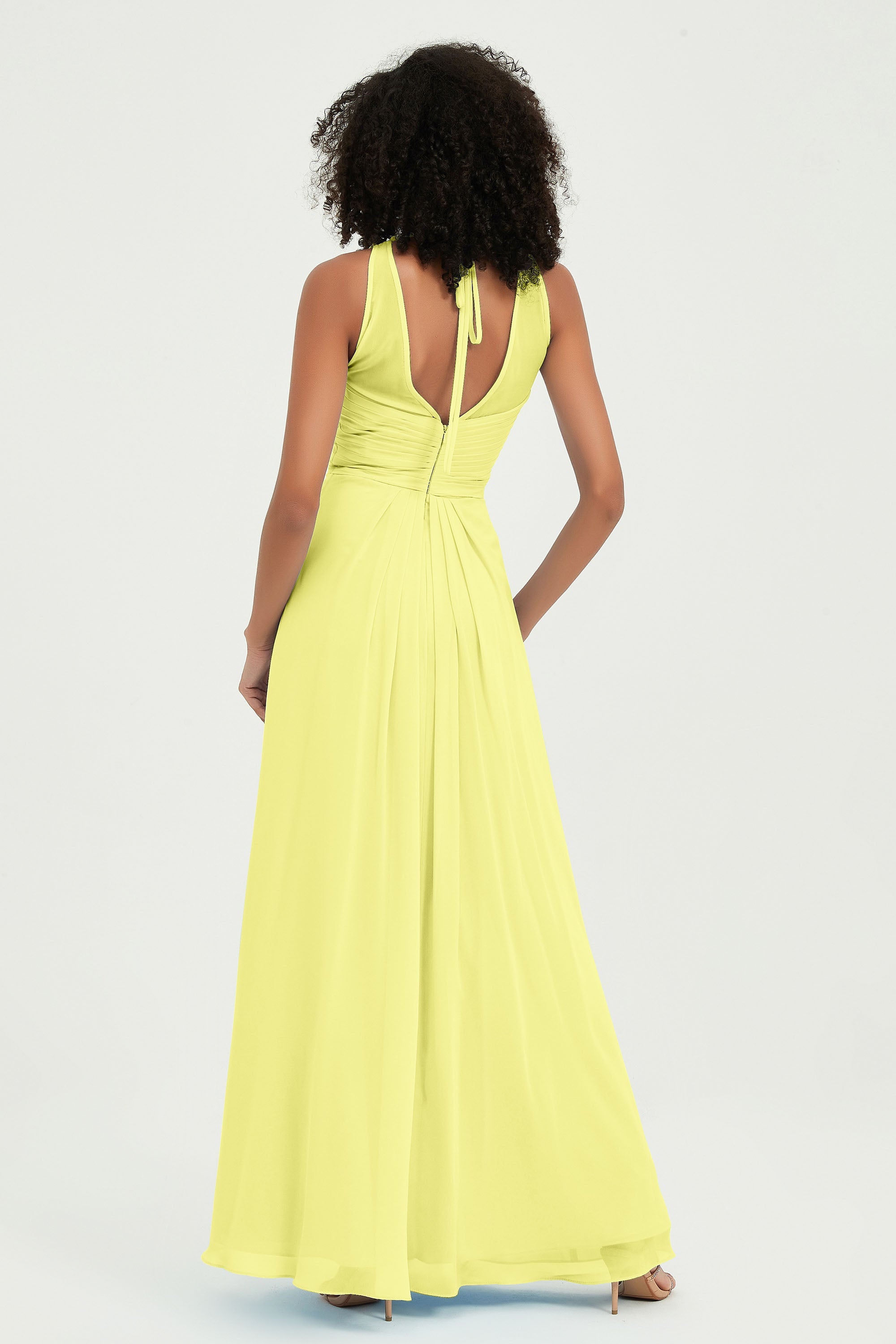 [Daffodil]